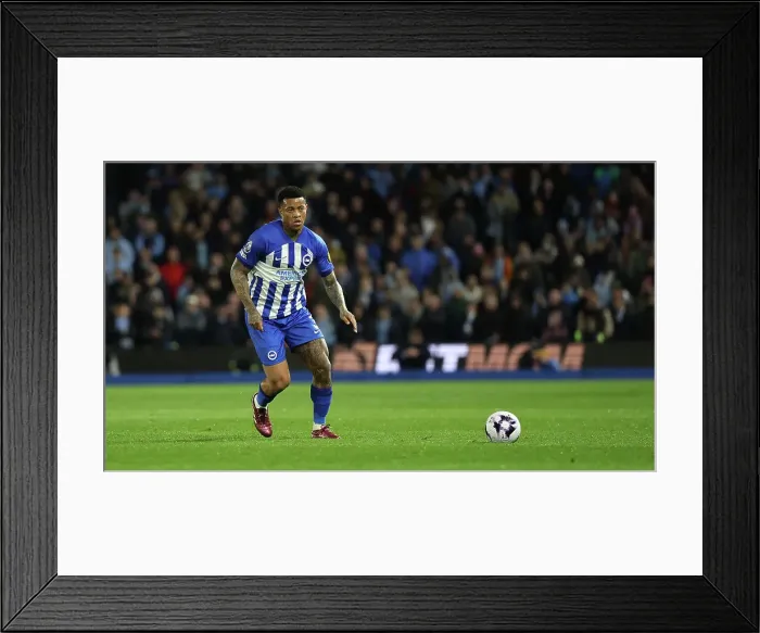 Framed Print : Brighton and Hove Albion v Manchester City Premier League 25APR24