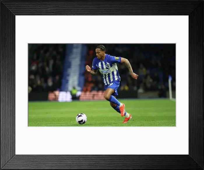 Framed Print : Brighton and Hove Albion v Manchester City Premier League 25APR24