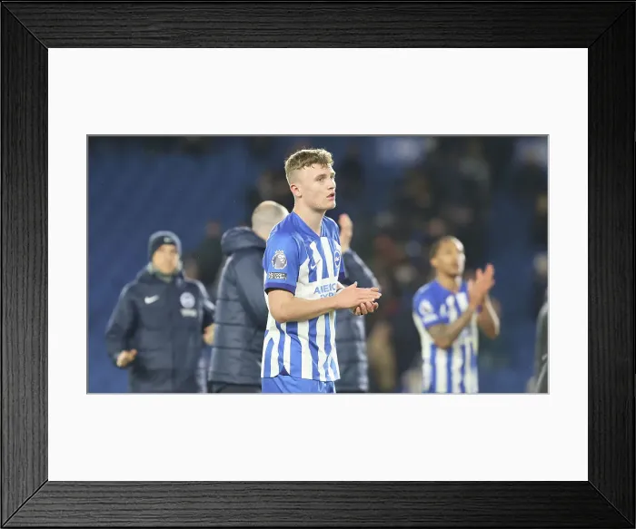 Framed Print : Brighton and Hove Albion v Manchester City Premier League 25APR24