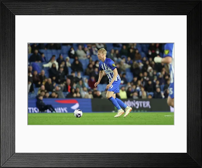 Framed Print : Brighton and Hove Albion v Manchester City Premier League 25APR24