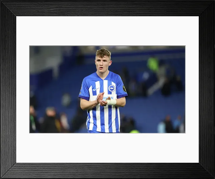 Framed Print : Brighton and Hove Albion v Manchester City Premier League 25APR24