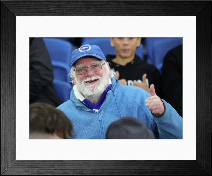 Framed Print : Brighton and Hove Albion v Manchester City Premier League 25APR24