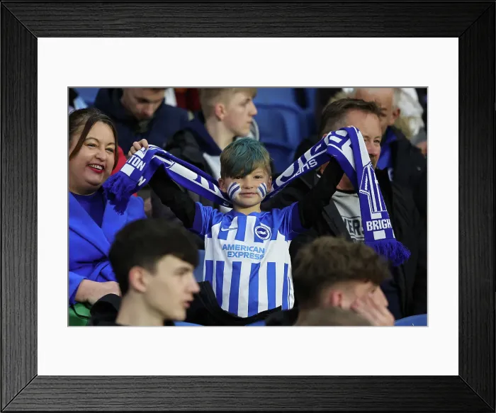 Framed Print : Brighton and Hove Albion v Manchester City Premier League 25APR24