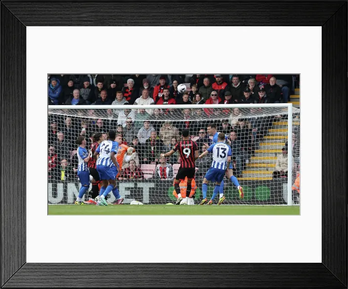 Framed Print : AFC Bournemouth v Brighton and Hove Albion Premier League 28APR24 Framed Print : AFC Bournemouth v Brighton and Hove Albion Premier League 28APR24