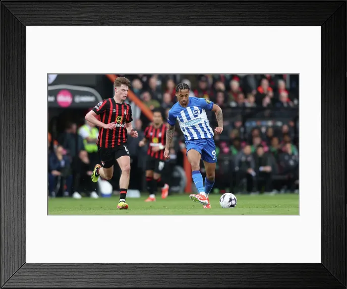 Framed Print : AFC Bournemouth v Brighton and Hove Albion Premier League 28APR24 Framed Print : AFC Bournemouth v Brighton and Hove Albion Premier League 28APR24