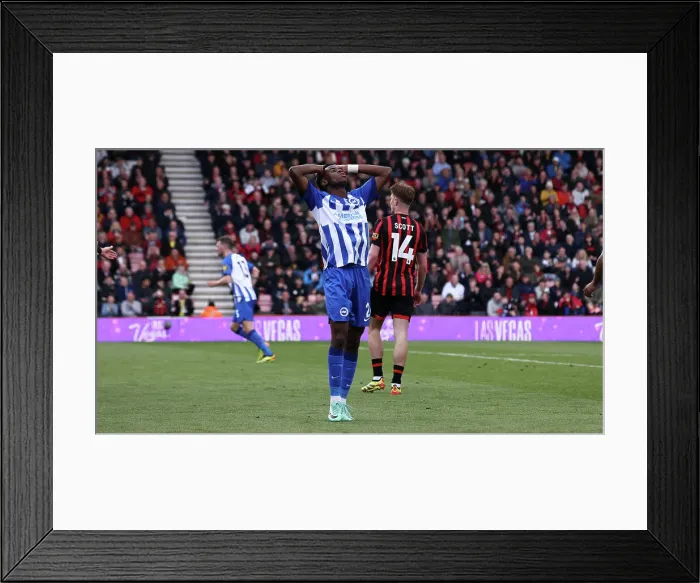 Framed Print : AFC Bournemouth v Brighton and Hove Albion Premier League 28APR24