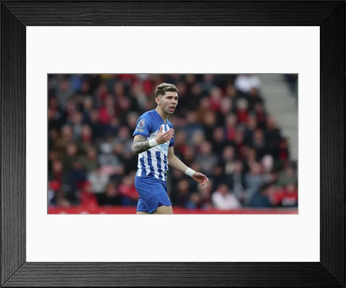 Framed Print : AFC Bournemouth v Brighton and Hove Albion Premier League 28APR24