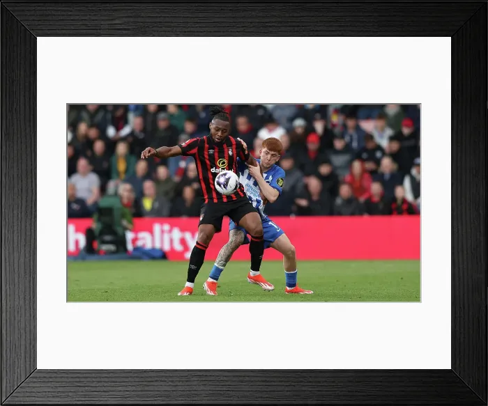 Framed Print : AFC Bournemouth v Brighton and Hove Albion Premier League 28APR24 Framed Print : AFC Bournemouth v Brighton and Hove Albion Premier League 28APR24