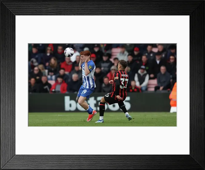 Framed Print : AFC Bournemouth v Brighton and Hove Albion Premier League 28APR24 Framed Print : AFC Bournemouth v Brighton and Hove Albion Premier League 28APR24