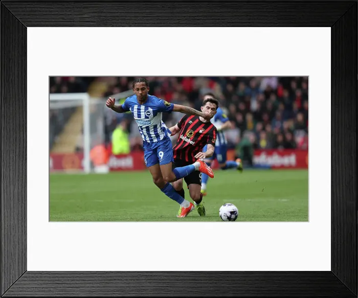 Framed Print : AFC Bournemouth v Brighton and Hove Albion Premier League 28APR24 Framed Print : AFC Bournemouth v Brighton and Hove Albion Premier League 28APR24