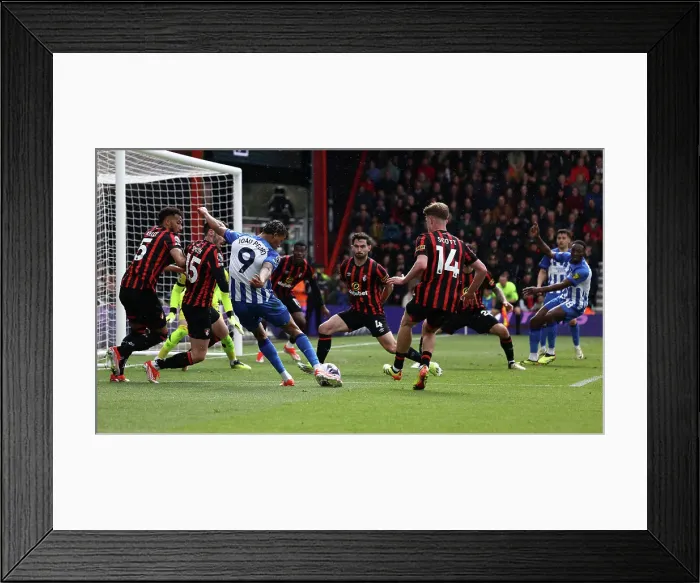 Framed Print : AFC Bournemouth v Brighton and Hove Albion Premier League 28APR24 Framed Print : AFC Bournemouth v Brighton and Hove Albion Premier League 28APR24