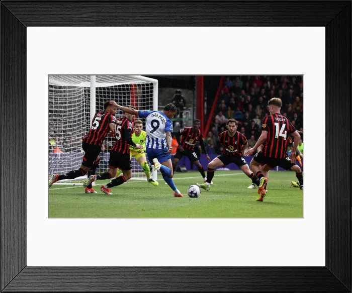 Framed Print : AFC Bournemouth v Brighton and Hove Albion Premier League 28APR24 Framed Print : AFC Bournemouth v Brighton and Hove Albion Premier League 28APR24