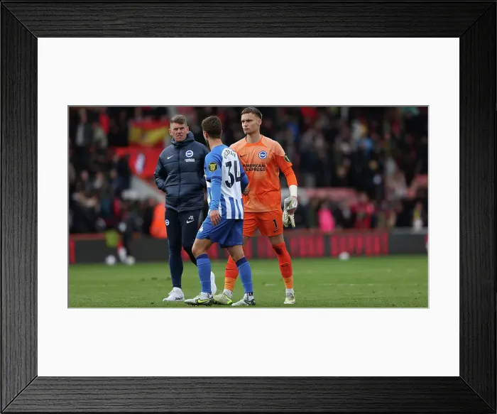 Framed Print : AFC Bournemouth v Brighton and Hove Albion Premier League 28APR24