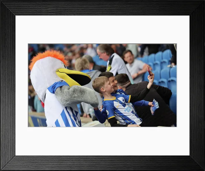 Framed Print : Brighton and Hove Albion v Aston Villa 05MAY24 Framed Print : Brighton and Hove Albion v Aston Villa 05MAY24