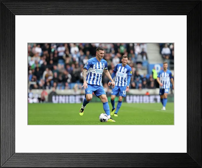 Framed Print : 09 Lewis Dunk Framed Print : 09 Lewis Dunk