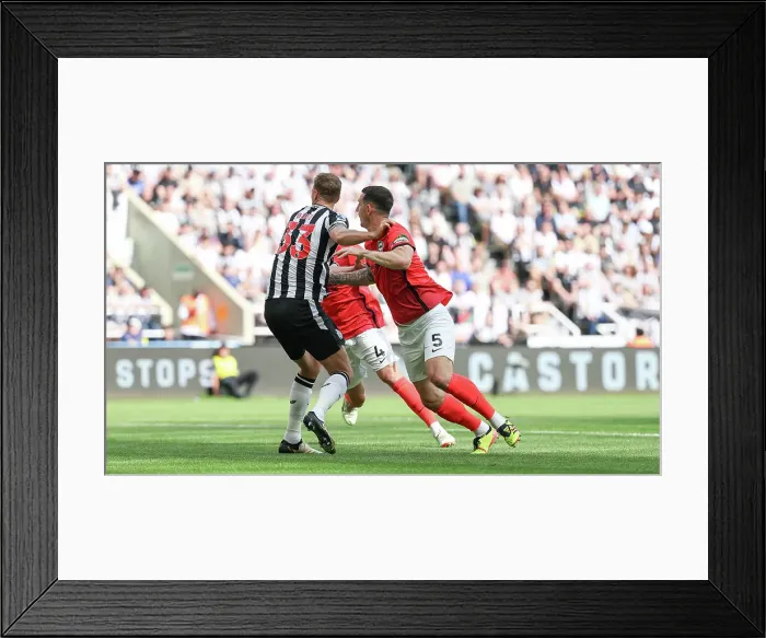 Framed Print : Newcastle United v Brighton and Hove Albion Premier League 11MAY24 Framed Print : Newcastle United v Brighton and Hove Albion Premier League 11MAY24