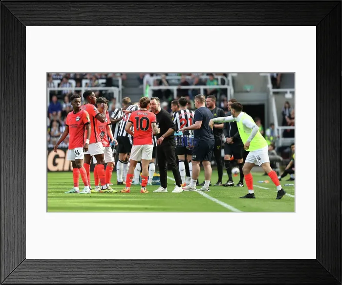 Framed Print : Newcastle United v Brighton and Hove Albion Premier League 11MAY24