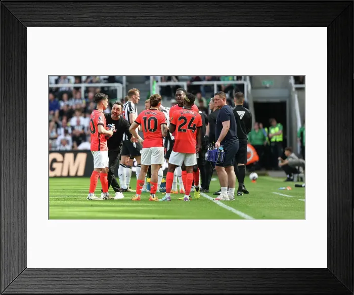 Framed Print : Newcastle United v Brighton and Hove Albion Premier League 11MAY24