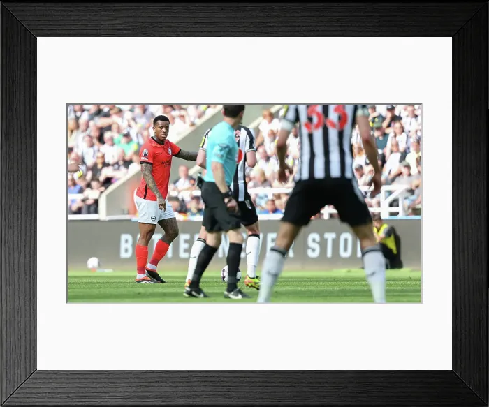 Framed Print : Newcastle United v Brighton and Hove Albion Premier League 11MAY24 Framed Print : Newcastle United v Brighton and Hove Albion Premier League 11MAY24