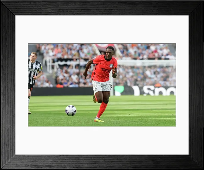 Framed Print : Newcastle United v Brighton and Hove Albion Premier League 11MAY24 Framed Print : Newcastle United v Brighton and Hove Albion Premier League 11MAY24