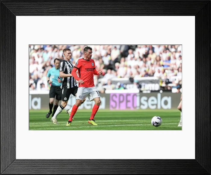 Framed Print : Newcastle United v Brighton and Hove Albion Premier League 11MAY24 Framed Print : Newcastle United v Brighton and Hove Albion Premier League 11MAY24