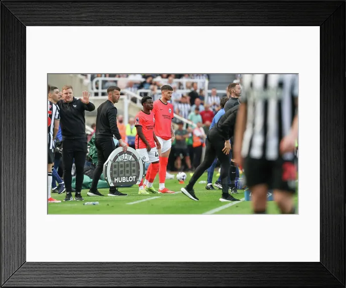 Framed Print : Newcastle United v Brighton and Hove Albion Premier League 11MAY24 Framed Print : Newcastle United v Brighton and Hove Albion Premier League 11MAY24
