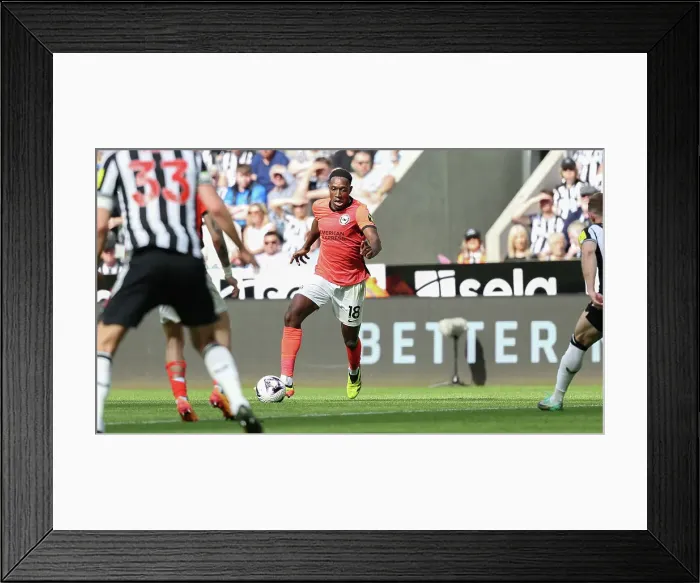 Framed Print : Newcastle United v Brighton and Hove Albion Premier League 11MAY24 Framed Print : Newcastle United v Brighton and Hove Albion Premier League 11MAY24