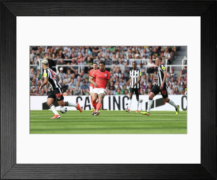 Framed Print : Newcastle United v Brighton and Hove Albion Premier League 11MAY24 Framed Print : Newcastle United v Brighton and Hove Albion Premier League 11MAY24