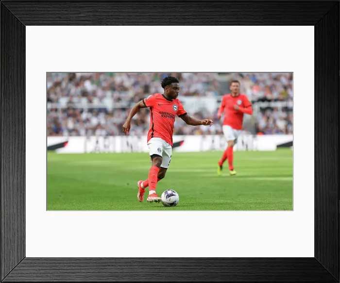 Framed Print : Newcastle United v Brighton and Hove Albion Premier League 11MAY24 Framed Print : Newcastle United v Brighton and Hove Albion Premier League 11MAY24