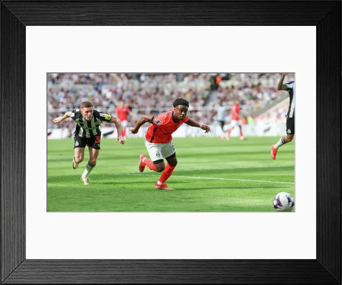 Framed Print : Newcastle United v Brighton and Hove Albion Premier League 11MAY24 Framed Print : Newcastle United v Brighton and Hove Albion Premier League 11MAY24
