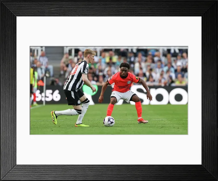 Framed Print : Newcastle United v Brighton and Hove Albion Premier League 11MAY24 Framed Print : Newcastle United v Brighton and Hove Albion Premier League 11MAY24