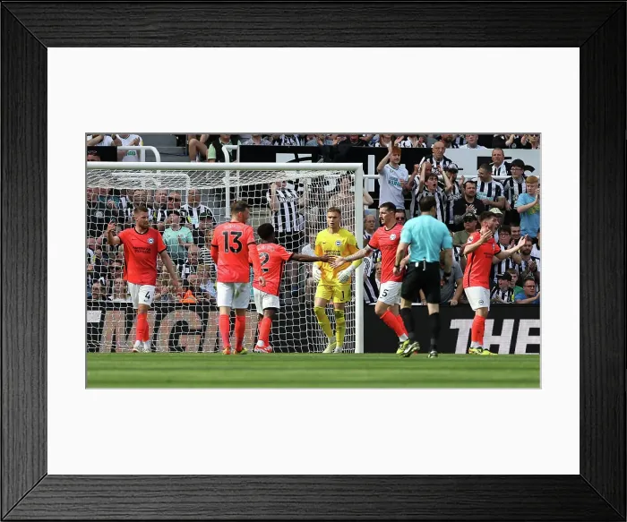 Framed Print : Newcastle United v Brighton and Hove Albion Premier League 11MAY24 Framed Print : Newcastle United v Brighton and Hove Albion Premier League 11MAY24
