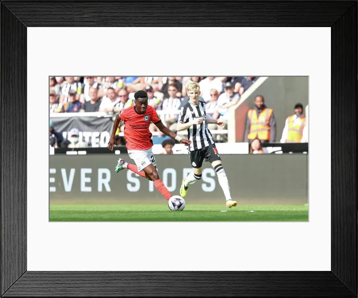 Framed Print : Newcastle United v Brighton and Hove Albion Premier League 11MAY24 Framed Print : Newcastle United v Brighton and Hove Albion Premier League 11MAY24