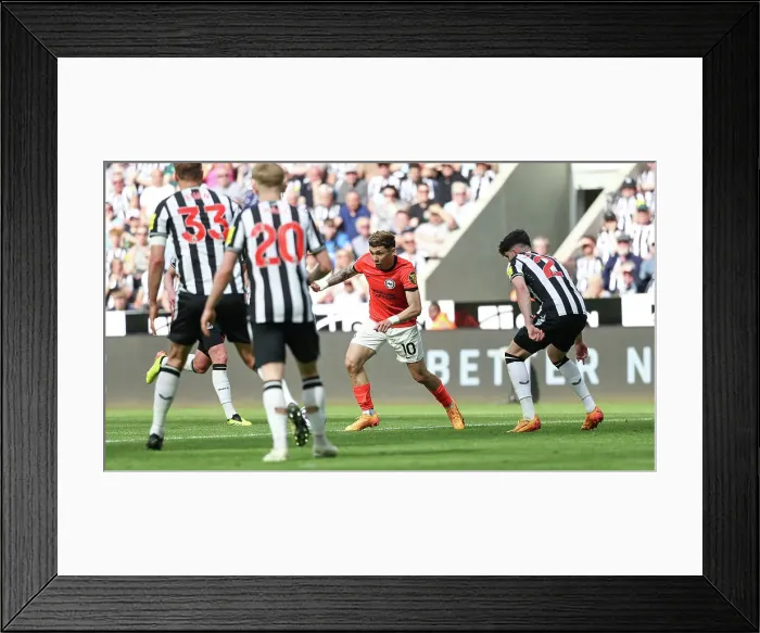 Framed Print : Newcastle United v Brighton and Hove Albion Premier League 11MAY24 Framed Print : Newcastle United v Brighton and Hove Albion Premier League 11MAY24