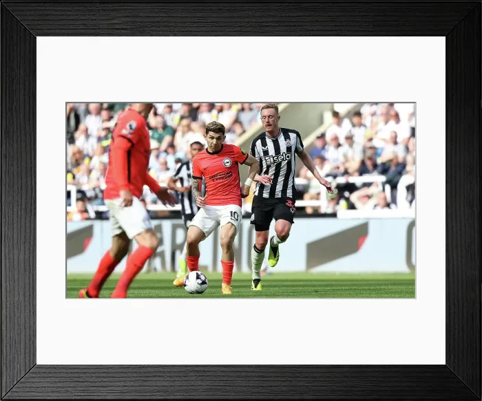 Framed Print : Newcastle United v Brighton and Hove Albion Premier League 11MAY24 Framed Print : Newcastle United v Brighton and Hove Albion Premier League 11MAY24