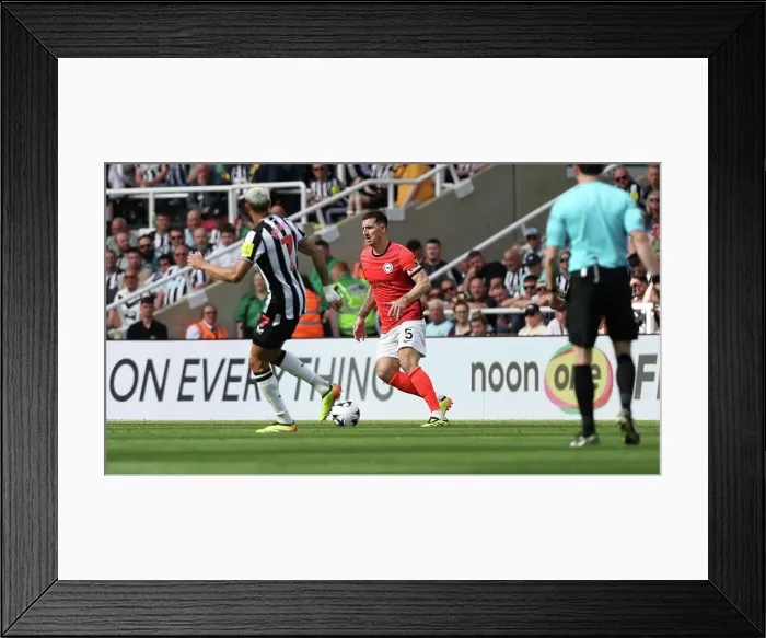 Framed Print : Newcastle United v Brighton and Hove Albion Premier League 11MAY24 Framed Print : Newcastle United v Brighton and Hove Albion Premier League 11MAY24