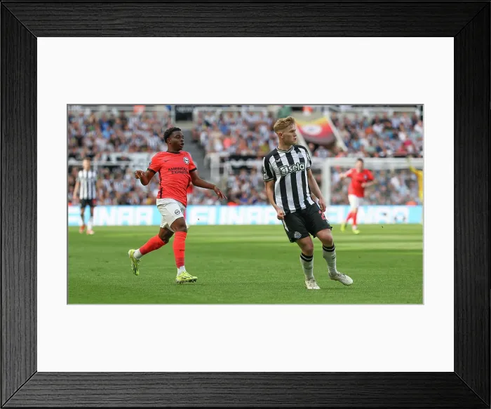 Framed Print : Newcastle United v Brighton and Hove Albion Premier League 11MAY24