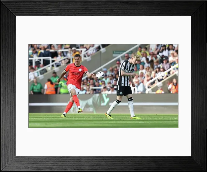 Framed Print : Newcastle United v Brighton and Hove Albion Premier League 11MAY24 Framed Print : Newcastle United v Brighton and Hove Albion Premier League 11MAY24