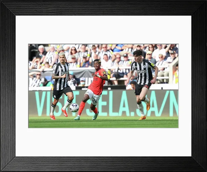 Framed Print : Newcastle United v Brighton and Hove Albion Premier League 11MAY24 Framed Print : Newcastle United v Brighton and Hove Albion Premier League 11MAY24