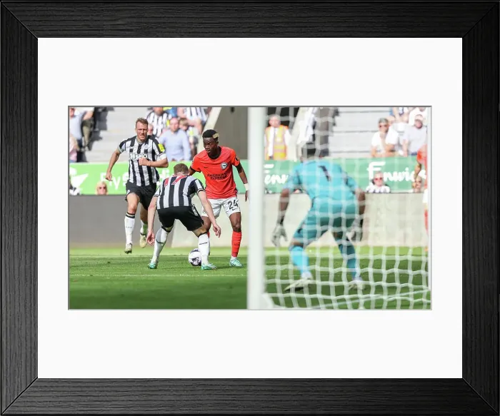 Framed Print : Newcastle United v Brighton and Hove Albion Premier League 11MAY24