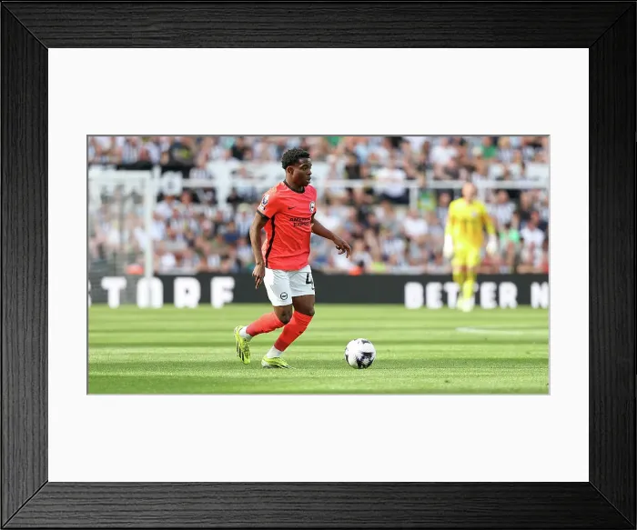 Framed Print : Newcastle United v Brighton and Hove Albion Premier League 11MAY24 Framed Print : Newcastle United v Brighton and Hove Albion Premier League 11MAY24
