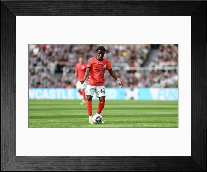 Framed Print : Newcastle United v Brighton and Hove Albion Premier League 11MAY24 Framed Print : Newcastle United v Brighton and Hove Albion Premier League 11MAY24