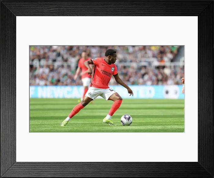 Framed Print : Newcastle United v Brighton and Hove Albion Premier League 11MAY24 Framed Print : Newcastle United v Brighton and Hove Albion Premier League 11MAY24
