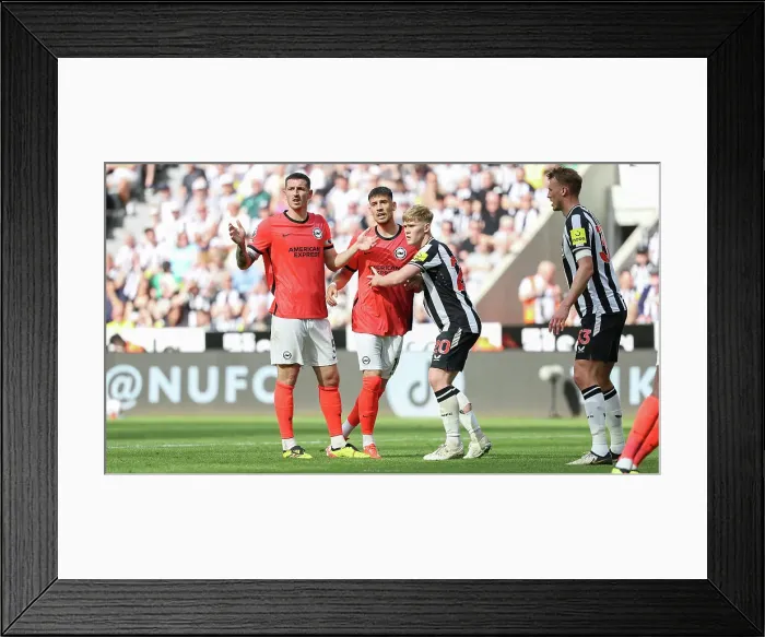 Framed Print : Newcastle United v Brighton and Hove Albion Premier League 11MAY24 Framed Print : Newcastle United v Brighton and Hove Albion Premier League 11MAY24