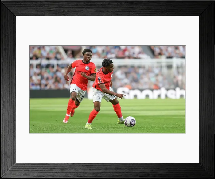 Framed Print : Newcastle United v Brighton and Hove Albion Premier League 11MAY24 Framed Print : Newcastle United v Brighton and Hove Albion Premier League 11MAY24