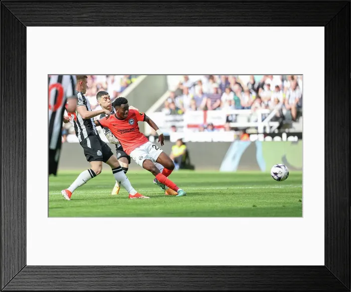Framed Print : Newcastle United v Brighton and Hove Albion Premier League 11MAY24 Framed Print : Newcastle United v Brighton and Hove Albion Premier League 11MAY24