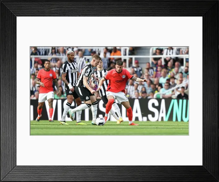 Framed Print : Newcastle United v Brighton and Hove Albion Premier League 11MAY24 Framed Print : Newcastle United v Brighton and Hove Albion Premier League 11MAY24