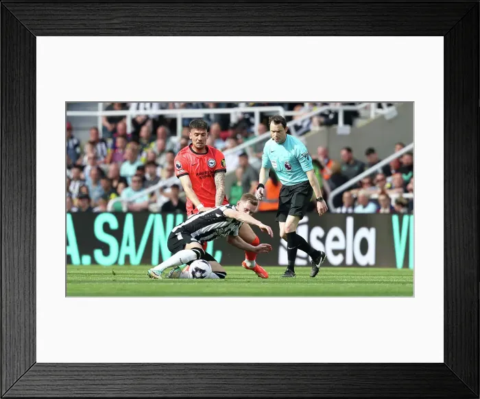 Framed Print : Newcastle United v Brighton and Hove Albion Premier League 11MAY24 Framed Print : Newcastle United v Brighton and Hove Albion Premier League 11MAY24