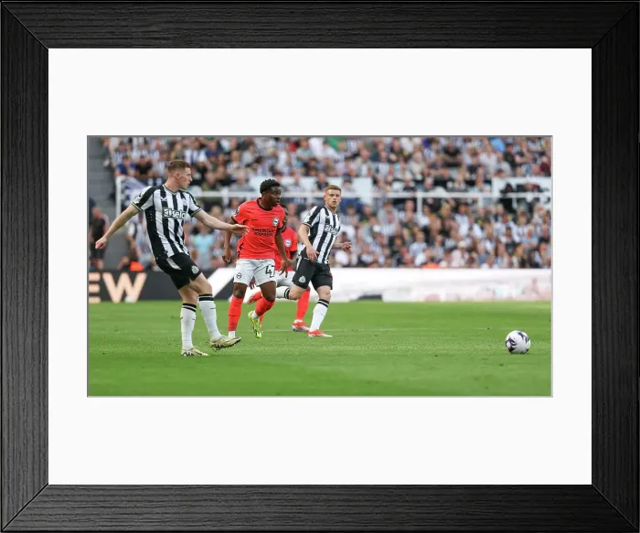 Framed Print : Newcastle United v Brighton and Hove Albion Premier League 11MAY24 Framed Print : Newcastle United v Brighton and Hove Albion Premier League 11MAY24