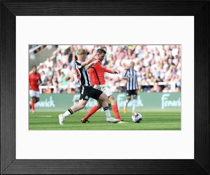 Framed Print : Newcastle United v Brighton and Hove Albion Premier League 11MAY24 Framed Print : Newcastle United v Brighton and Hove Albion Premier League 11MAY24